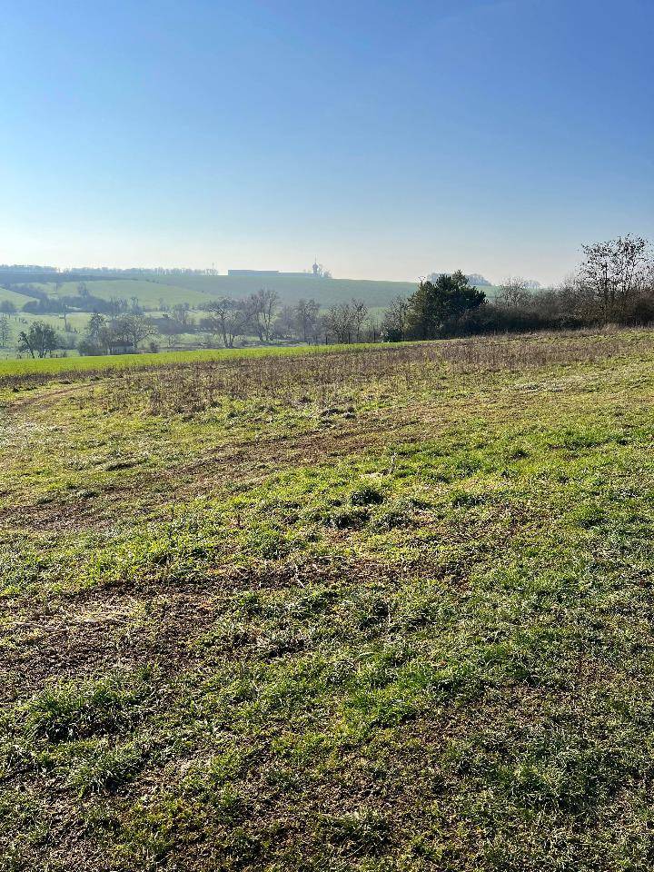 Terrain seul à Pournoy-la-Grasse en Moselle (57) de 650 m² à vendre au prix de 173250€ - 1