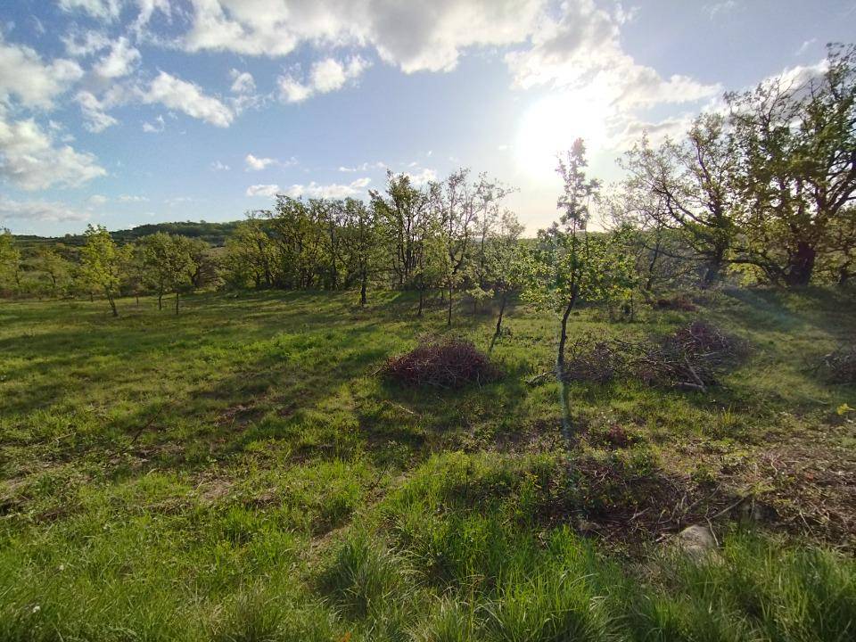 Terrain seul à Vagnas en Ardèche (07) de 1150 m² à vendre au prix de 75000€ - 3