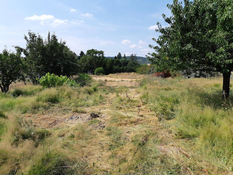Terrain seul à Saint-Rustice en Haute-Garonne (31) de 800 m² à vendre au prix de 69000€ - 1