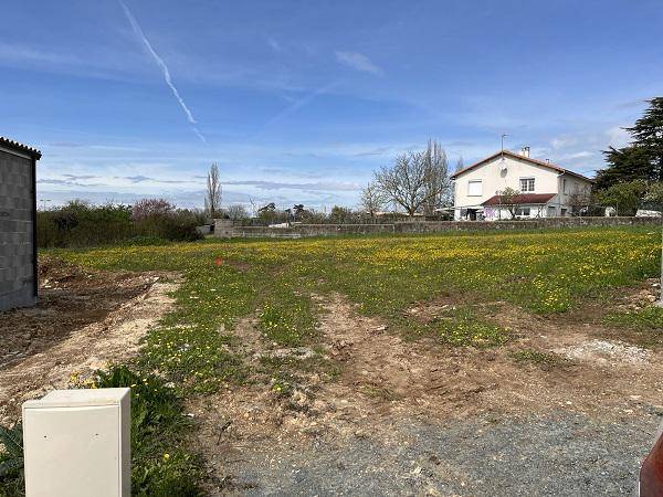 Programme terrain + maison à Puisieulx en Marne (51) de 110 m² à vendre au prix de 295001€ - 4