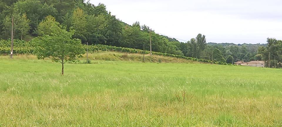 Terrain seul à Montpeyroux en Dordogne (24) de 1160 m² à vendre au prix de 23200€
