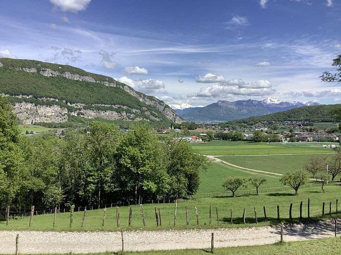 Terrain seul à Sillingy en Haute-Savoie (74) de 500 m² à vendre au prix de 290000€ - 1