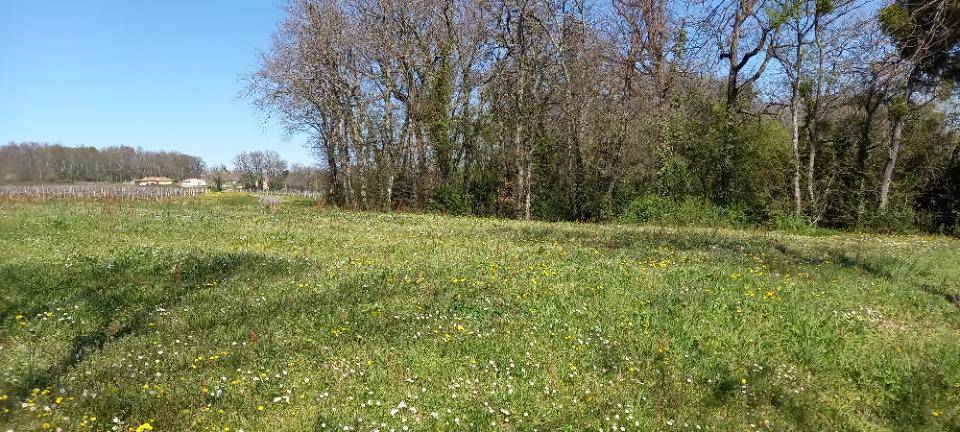 Terrain seul à Saint-Michel-de-Montaigne en Dordogne (24) de 1500 m² à vendre au prix de 37000€