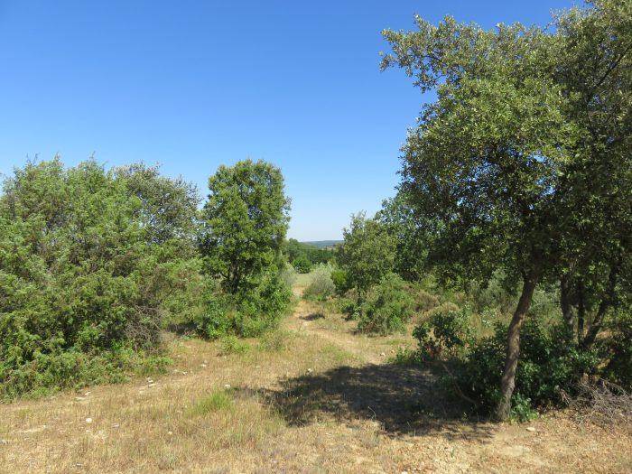 Terrain seul à Montignargues en Gard (30) de 326 m² à vendre au prix de 86500€