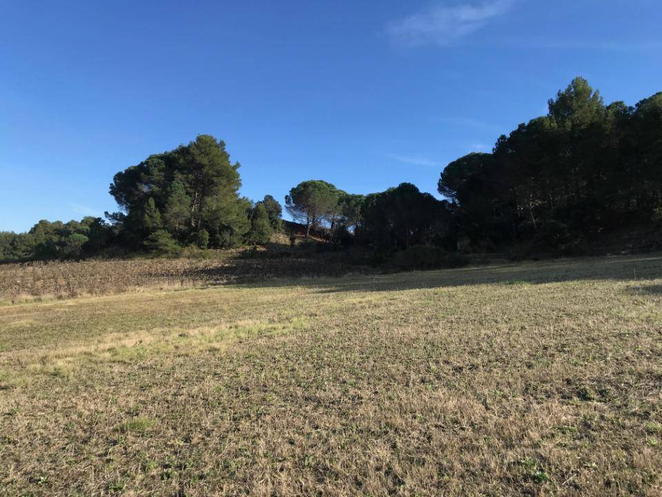 Terrain seul à Villeneuve-Minervois en Aude (11) de 2578 m² à vendre au prix de 82000€