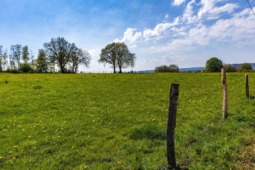 Terrain seul à Les Clérimois en Yonne (89) de 1000 m² à vendre au prix de 25000€