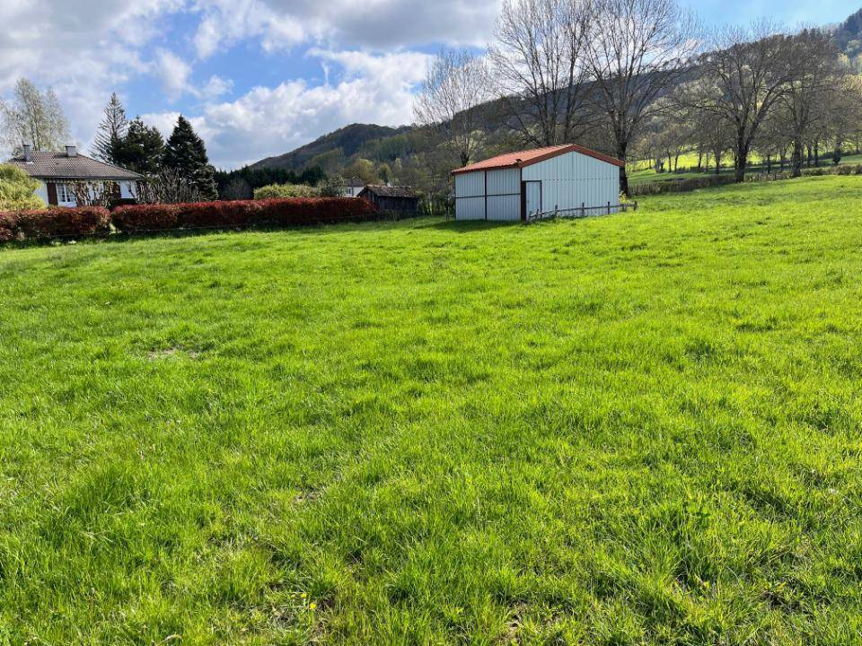 Terrain seul à Vézac en Cantal (15) de 5000 m² à vendre au prix de 55000€ - 2