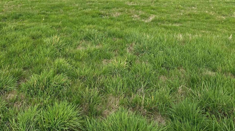 Image de l'annonce Maison à construire à Vénissieux (69200)