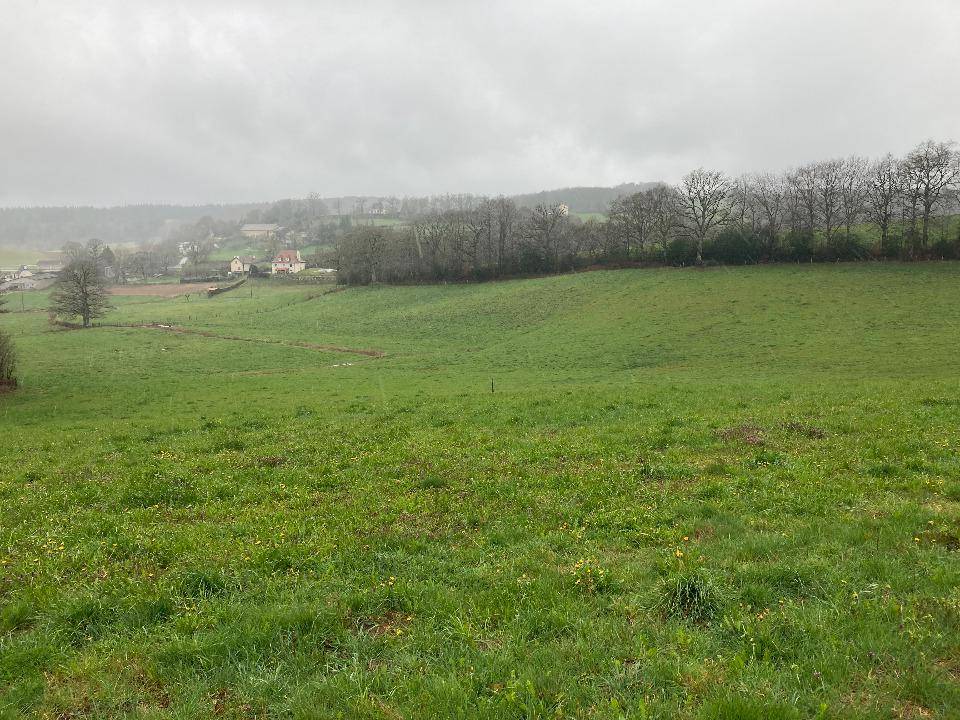 Terrain seul à Lafeuillade-en-Vézie en Cantal (15) de 1160 m² à vendre au prix de 32000€ - 2