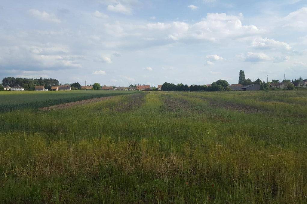 Terrain seul à Tauxigny-Saint-Bauld en Indre-et-Loire (37) de 602 m² à vendre au prix de 54000€