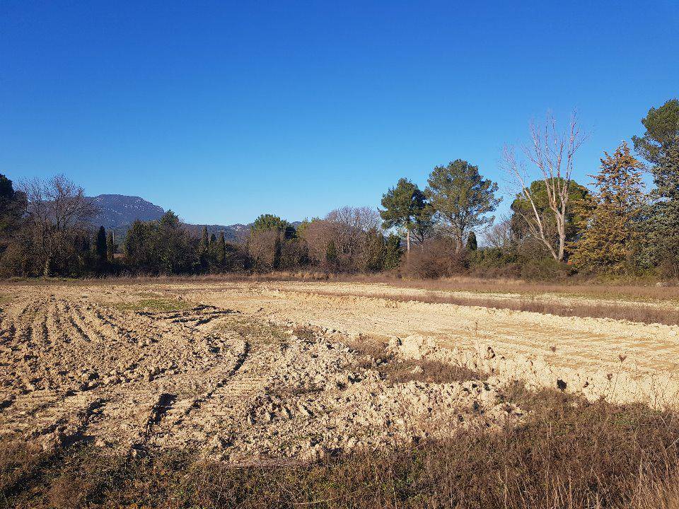 Terrain seul à Le Triadou en Hérault (34) de 500 m² à vendre au prix de 239000€ - 1