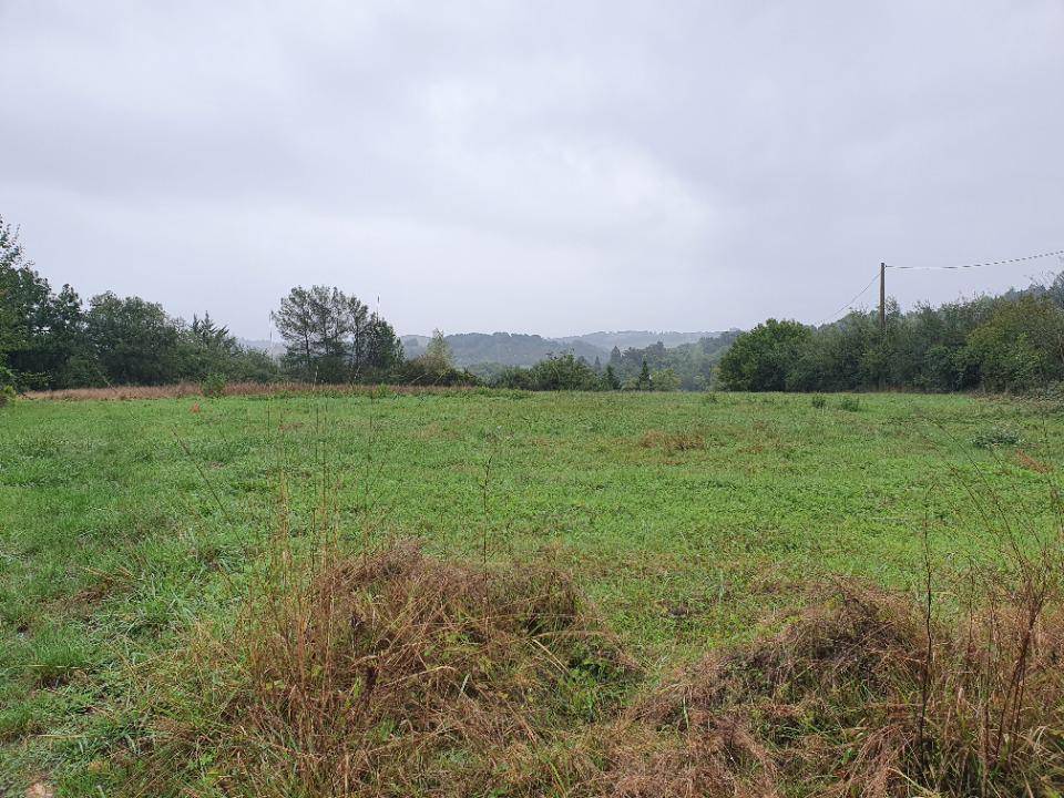 Terrain seul à Lavaur en Tarn (81) de 700 m² à vendre au prix de 75000€ - 1