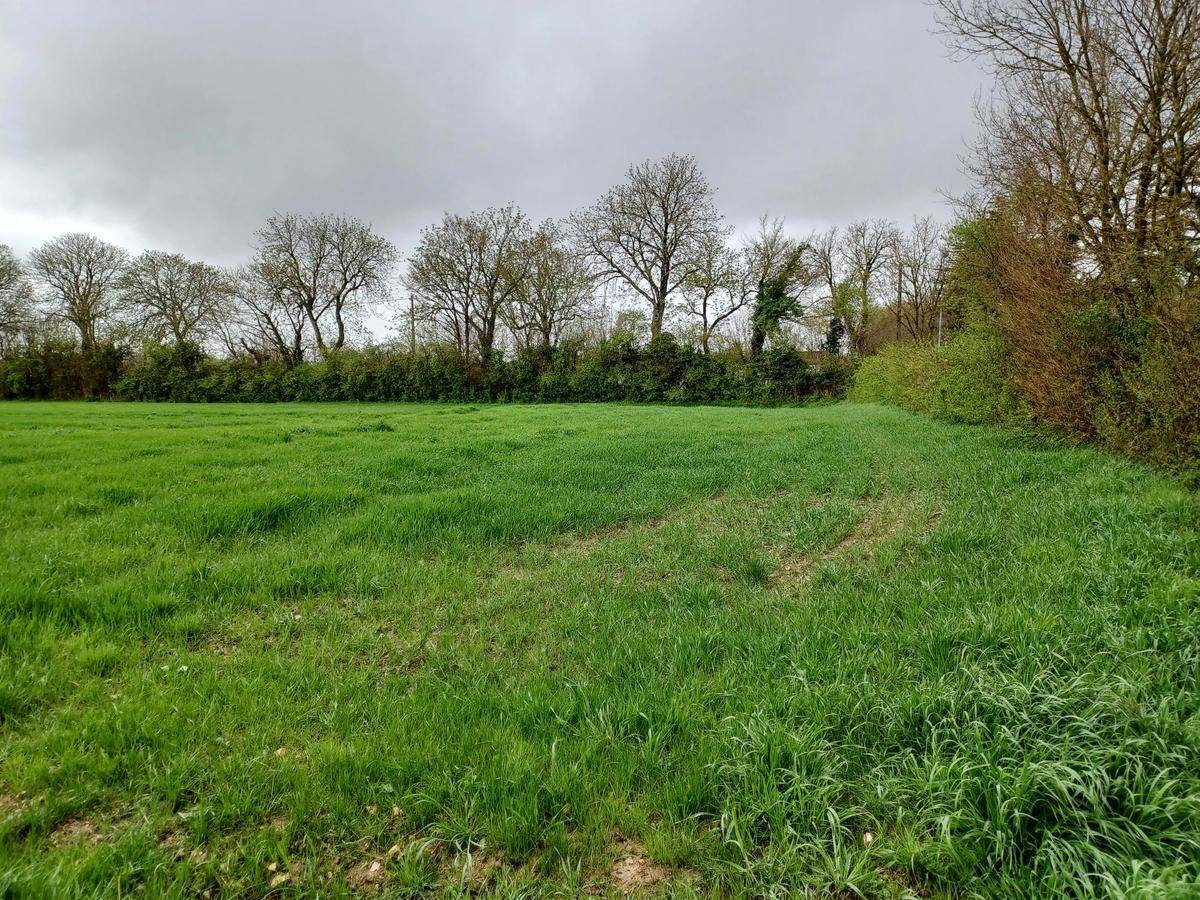 Terrain seul à Surgères en Charente-Maritime (17) de 268 m² à vendre au prix de 29990€