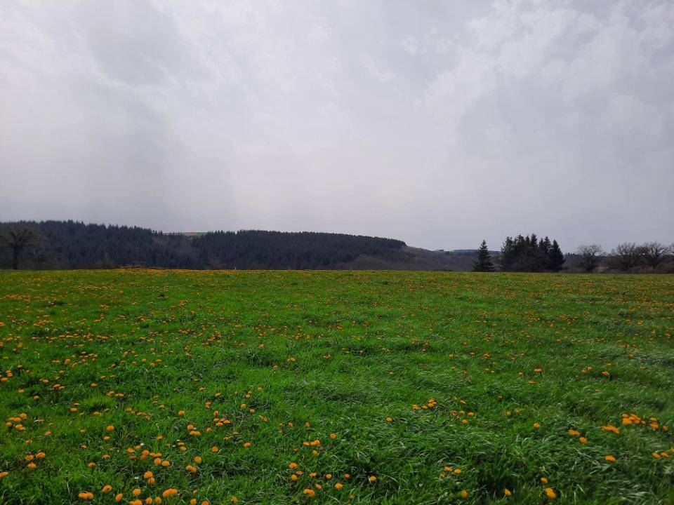 Terrain seul à Arpajon-sur-Cère en Cantal (15) de 1500 m² à vendre au prix de 42000€ - 4
