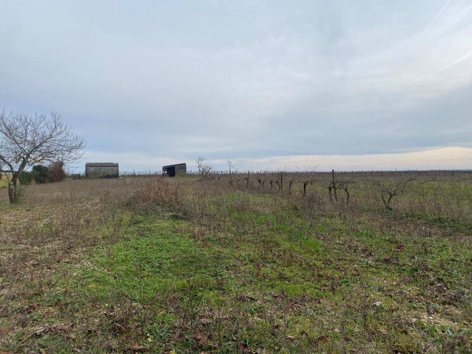 Terrain seul à Échallat en Charente (16) de 3538 m² à vendre au prix de 40000€ - 3