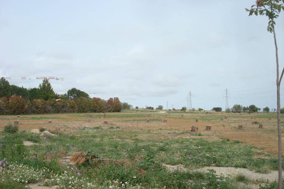 Terrain seul à Perpignan en Pyrénées-Orientales (66) de 317 m² à vendre au prix de 114900€ - 1