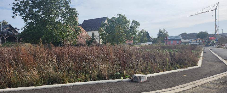 Terrain seul à Zaessingue en Haut-Rhin (68) de 601 m² à vendre au prix de 105175€ - 1