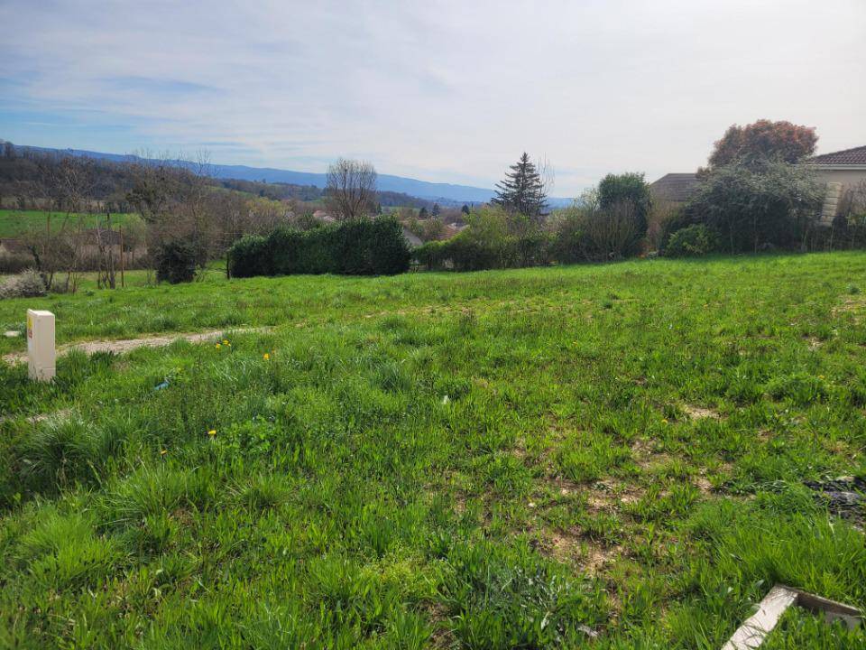 Terrain seul à Rignieux-le-Franc en Ain (01) de 434 m² à vendre au prix de 134000€ - 1
