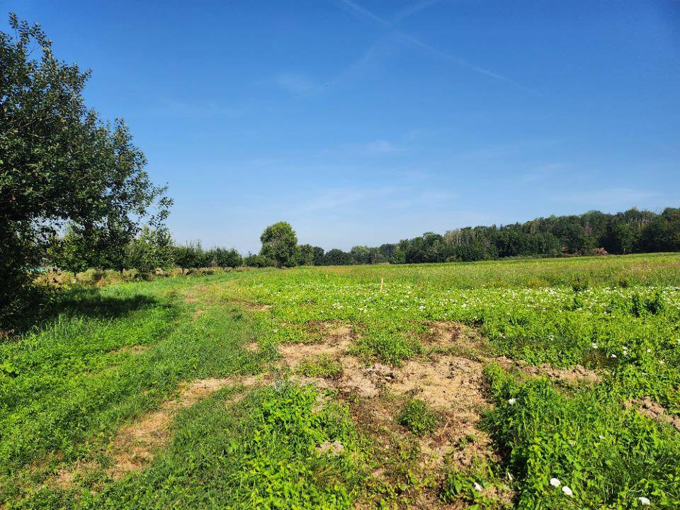 Terrain seul à Friesen en Haut-Rhin (68) de 701 m² à vendre au prix de 80615€