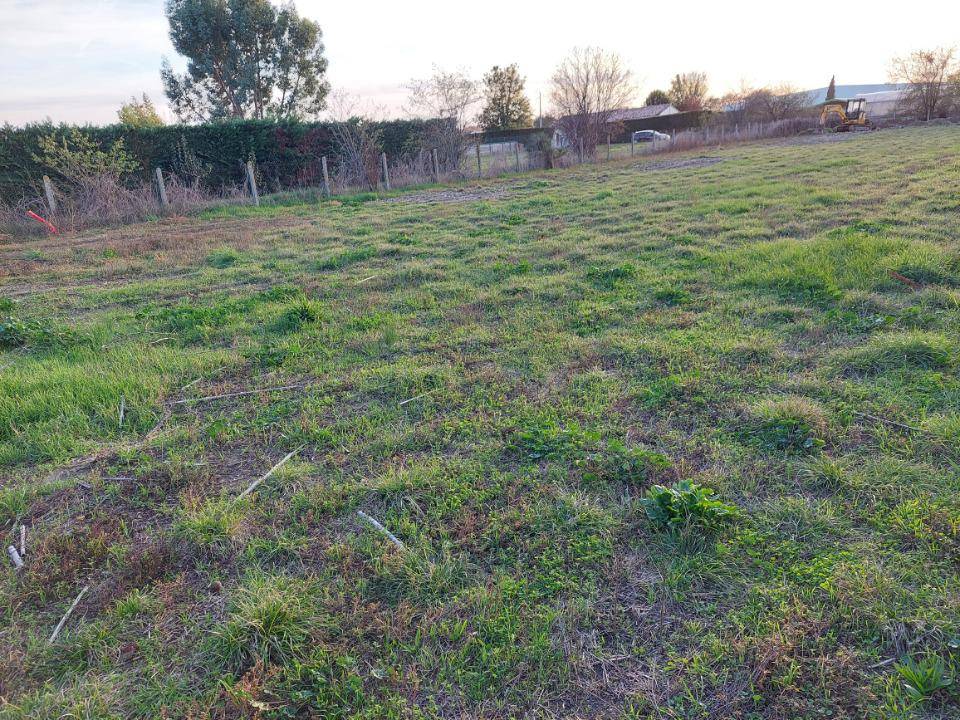 Terrain seul à Castelginest en Haute-Garonne (31) de 2000 m² à vendre au prix de 250000€ - 2