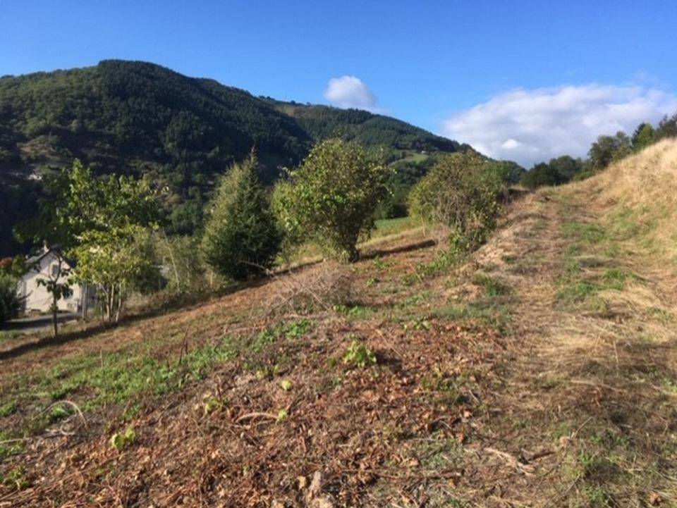 Terrain seul à Entraygues-sur-Truyère en Aveyron (12) de 1300 m² à vendre au prix de 22100€ - 2