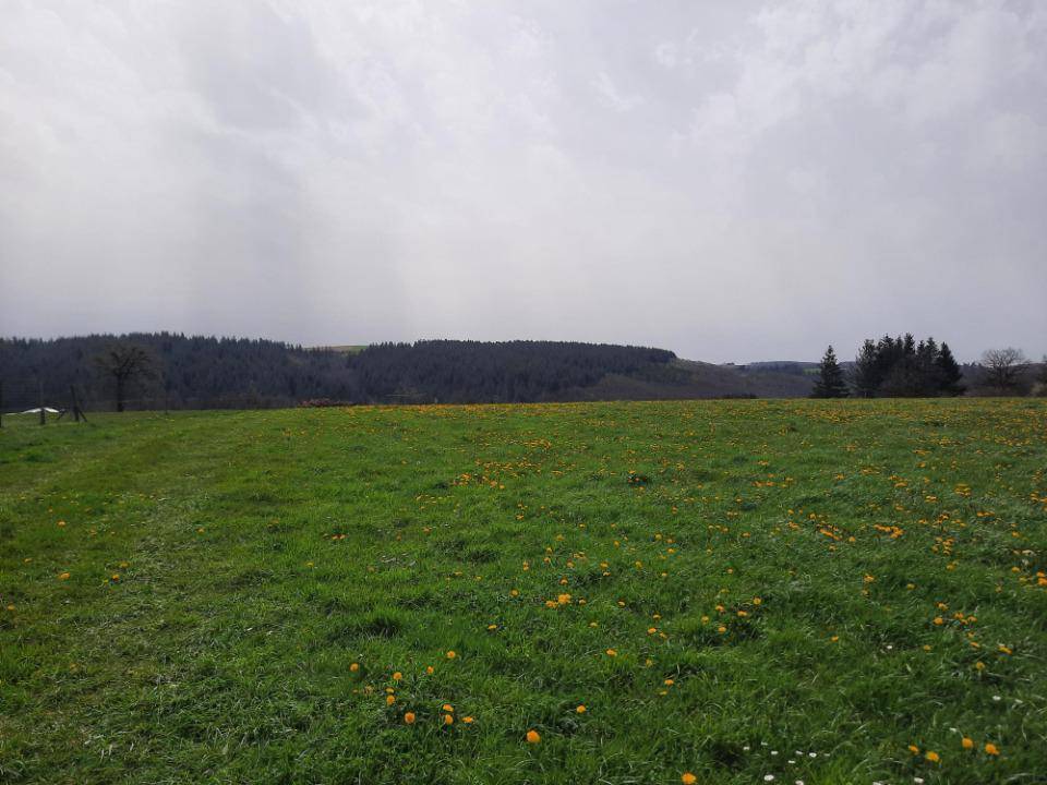 Terrain seul à Arpajon-sur-Cère en Cantal (15) de 1500 m² à vendre au prix de 42000€ - 2