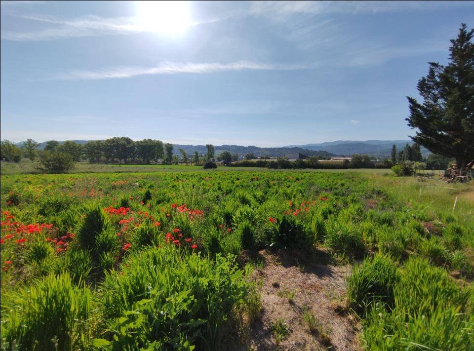Terrain seul à Gargas en Vaucluse (84) de 735 m² à vendre au prix de 110000€ - 2