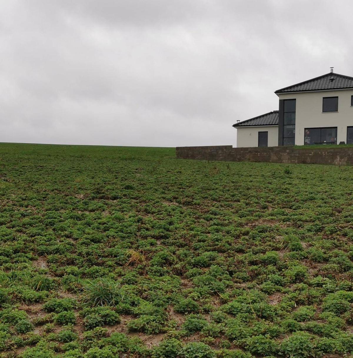 Programme terrain + maison à Ottonville en Moselle (57) de 90 m² à vendre au prix de 227575€ - 3