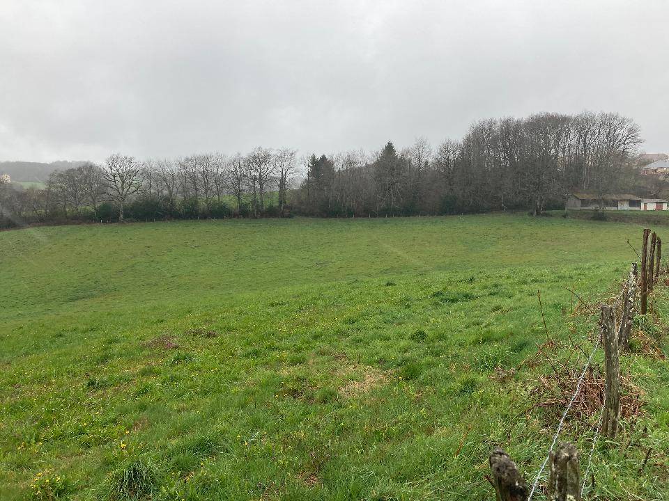 Terrain seul à Lafeuillade-en-Vézie en Cantal (15) de 1160 m² à vendre au prix de 32000€ - 1