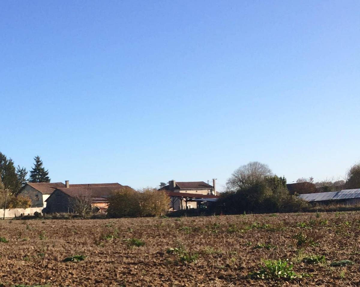 Terrain seul à Négrondes en Dordogne (24) de 2258 m² à vendre au prix de 38386€