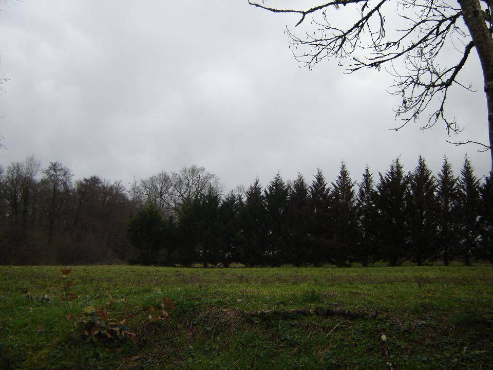 Terrain seul à Eygurande-et-Gardedeuil en Dordogne (24) de 1770 m² à vendre au prix de 30090€ - 1