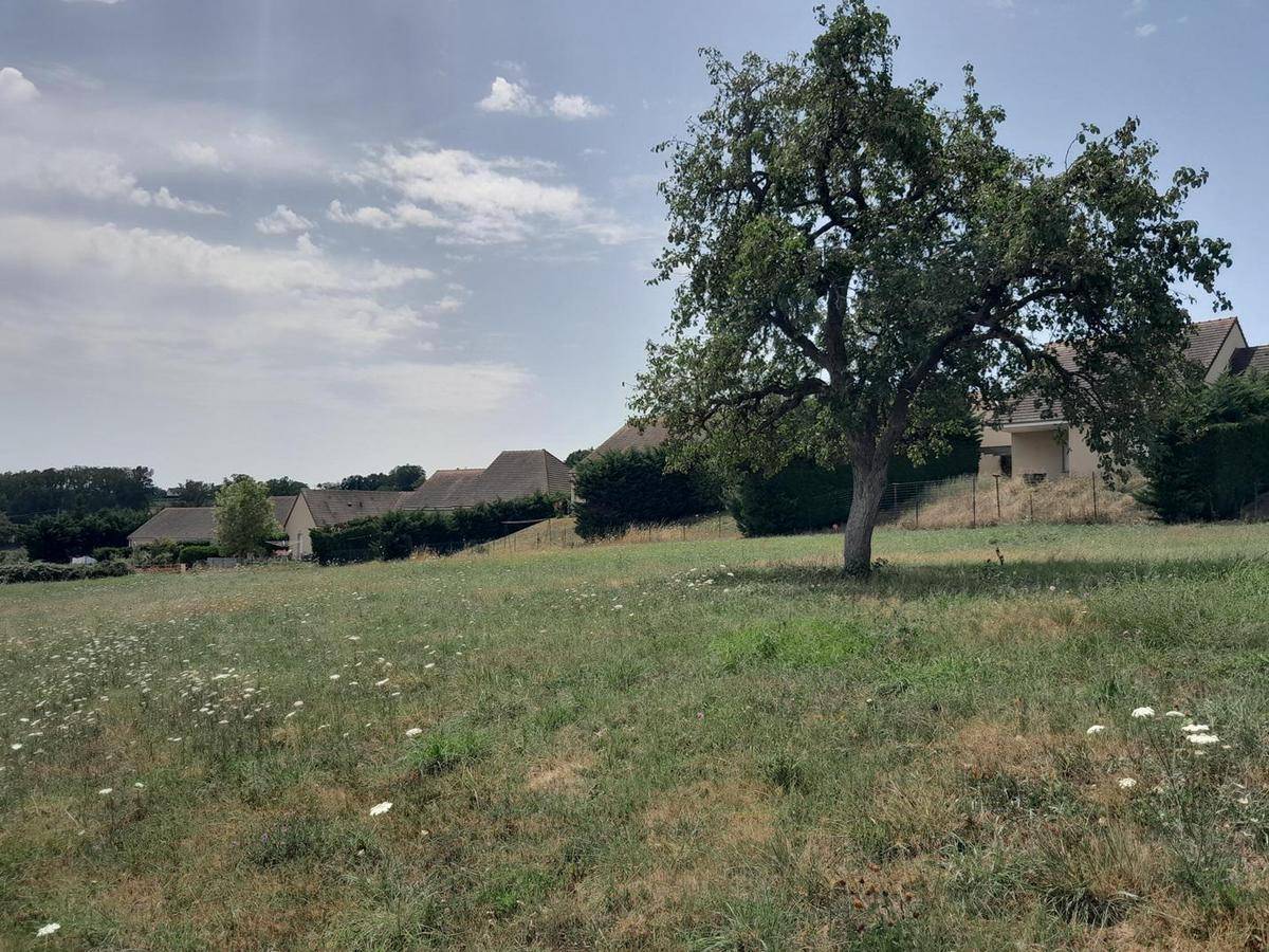 Terrain seul à Chemilly en Allier (03) de 775 m² à vendre au prix de 30000€