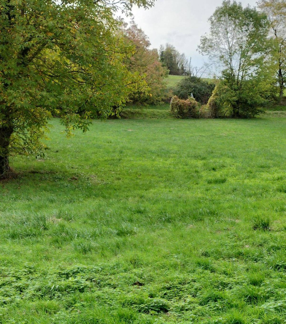Terrain seul à Champagne-Vigny en Charente (16) de 800 m² à vendre au prix de 19200€