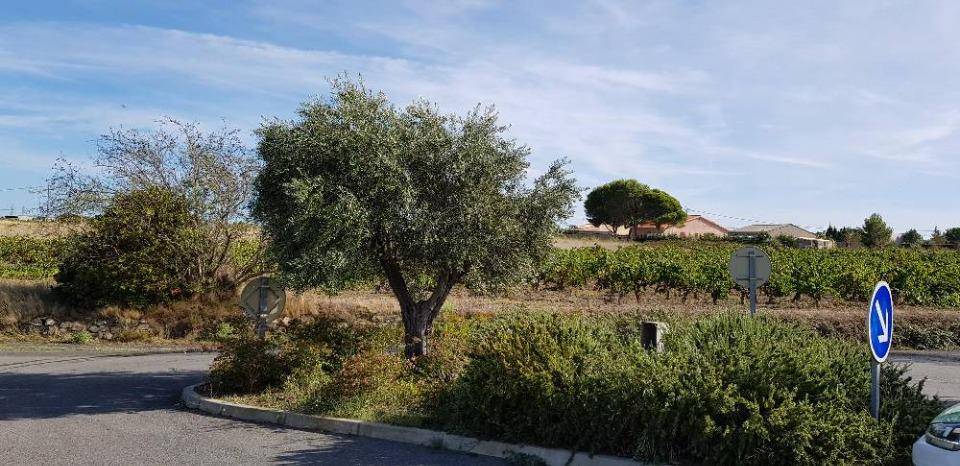 Terrain seul à Lézignan-Corbières en Aude (11) de 1400 m² à vendre au prix de 79900€