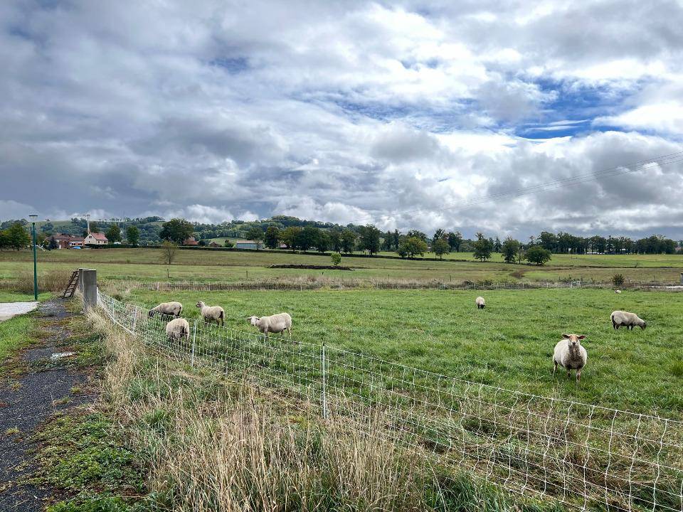 Terrain seul à Naucelles en Cantal (15) de 359 m² à vendre au prix de 29000€ - 1
