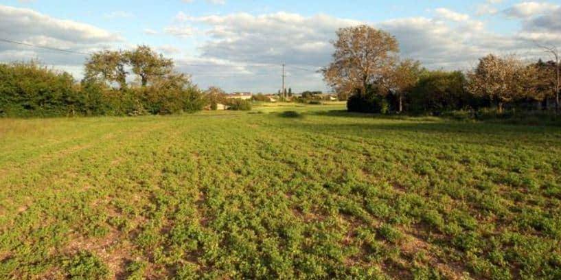 Terrain seul à Châtres-sur-Cher en Loir-et-Cher (41) de 1350 m² à vendre au prix de 25000€