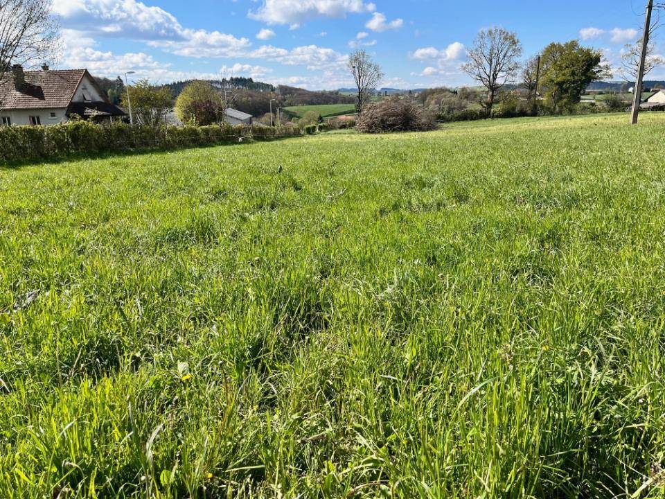 Terrain seul à Arpajon-sur-Cère en Cantal (15) de 1185 m² à vendre au prix de 71760€ - 3