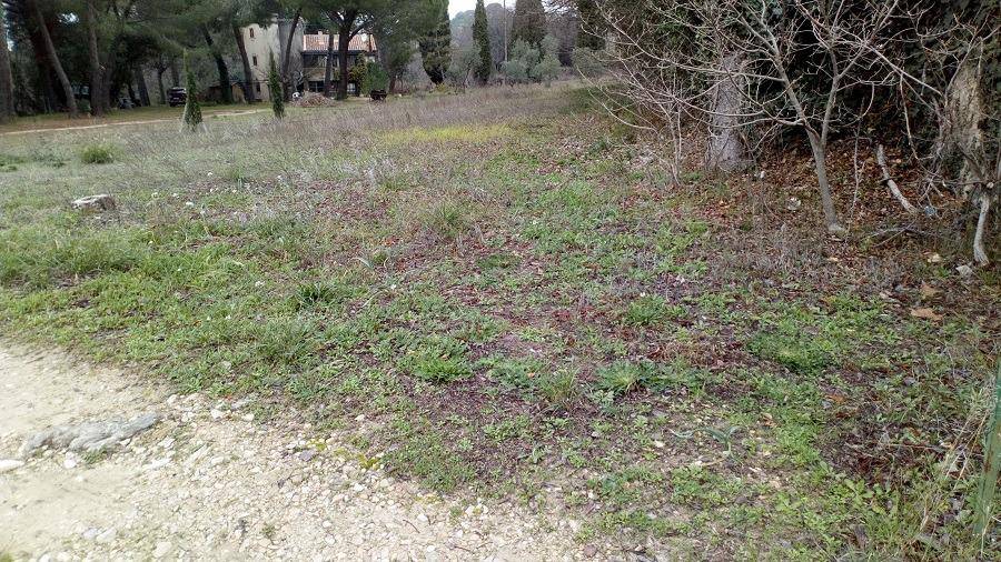 Terrain seul à Cadenet en Vaucluse (84) de 500 m² à vendre au prix de 170000€ - 2