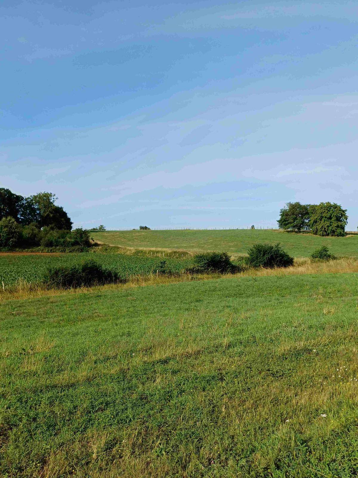 Terrain seul à Torcé-en-Vallée en Sarthe (72) de 1080 m² à vendre au prix de 30000€