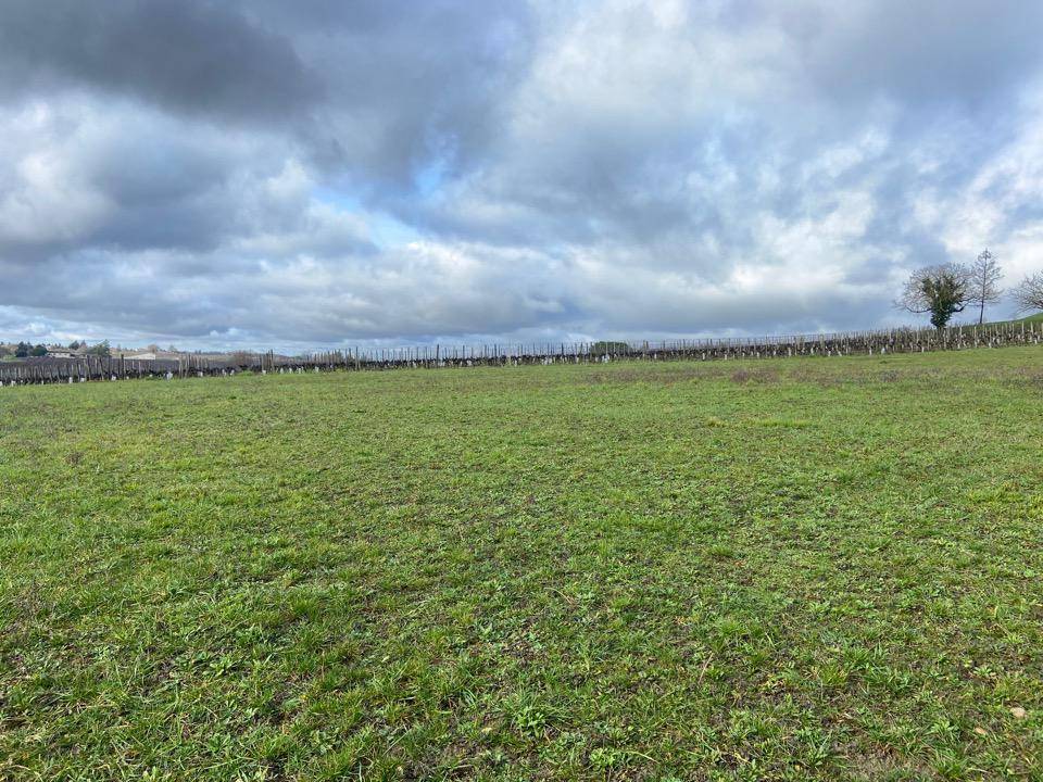 Terrain seul à Pomport en Dordogne (24) de 1800 m² à vendre au prix de 44000€ - 2