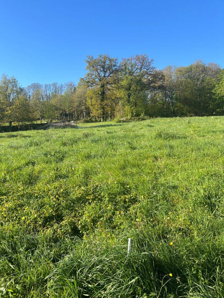 Terrain seul à Flesselles en Somme (80) de 2290 m² à vendre au prix de 70000€ - 2