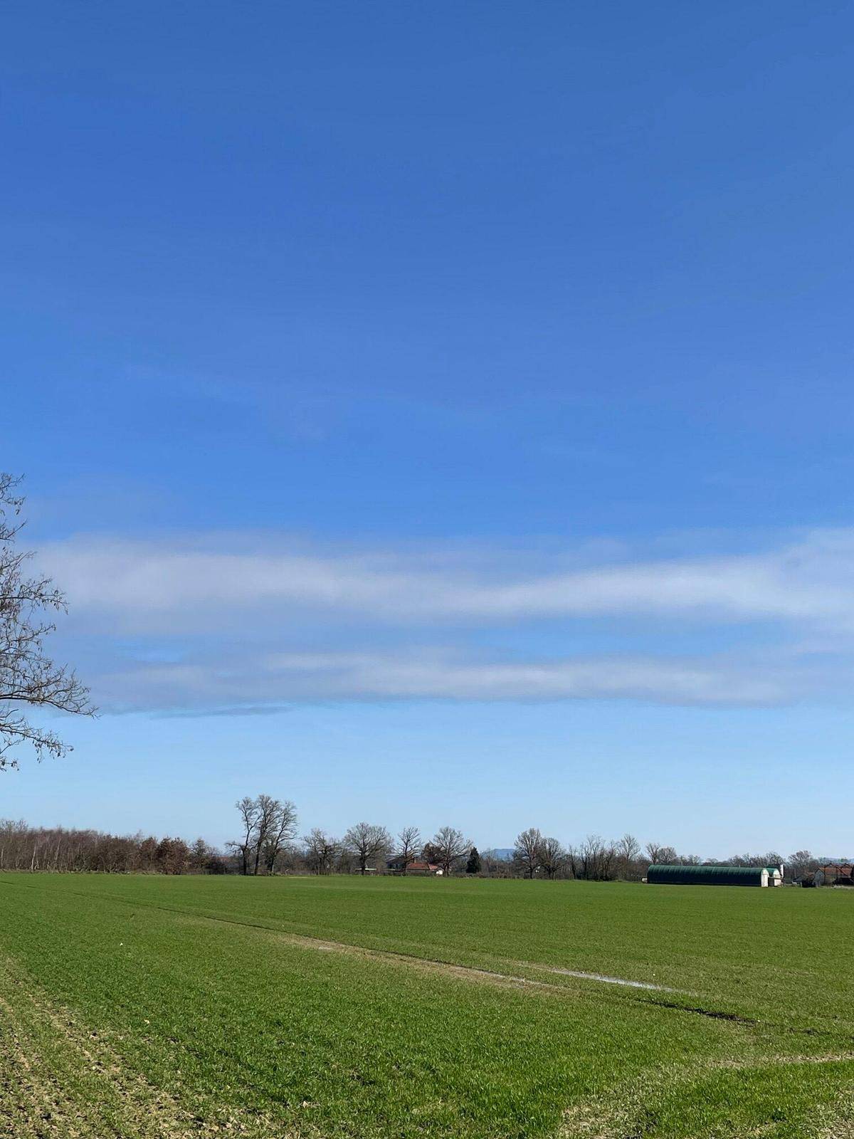 Terrain seul à Vitry-en-Charollais en Saône-et-Loire (71) de 1500 m² à vendre au prix de 33000€