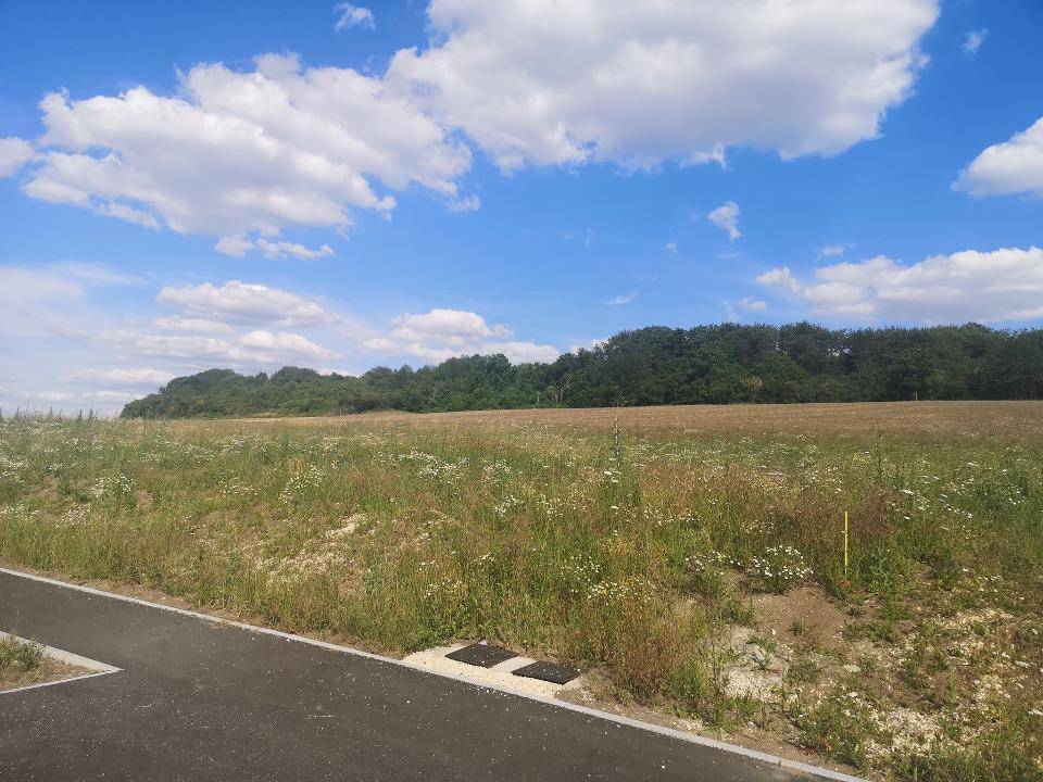 Terrain seul à Dieulouard en Meurthe-et-Moselle (54) de 319 m² à vendre au prix de 49000€ - 1