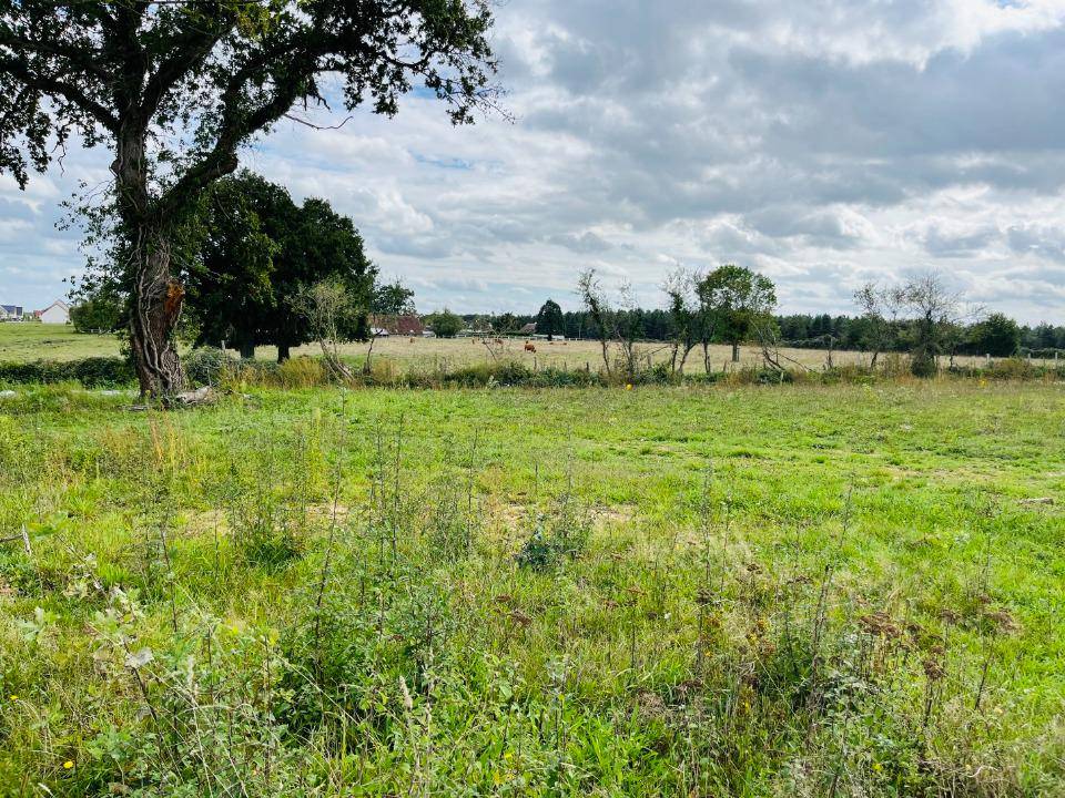 Terrain seul à La Suze-sur-Sarthe en Sarthe (72) de 528 m² à vendre au prix de 37000€