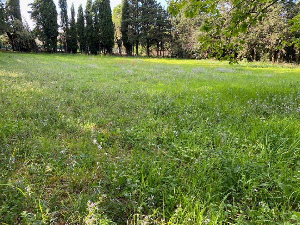 Terrain seul à Grillon en Vaucluse (84) de 926 m² à vendre au prix de 142000€ - 2