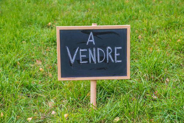 Terrain seul à Les Montils en Loir-et-Cher (41) de 1300 m² à vendre au prix de 52000€