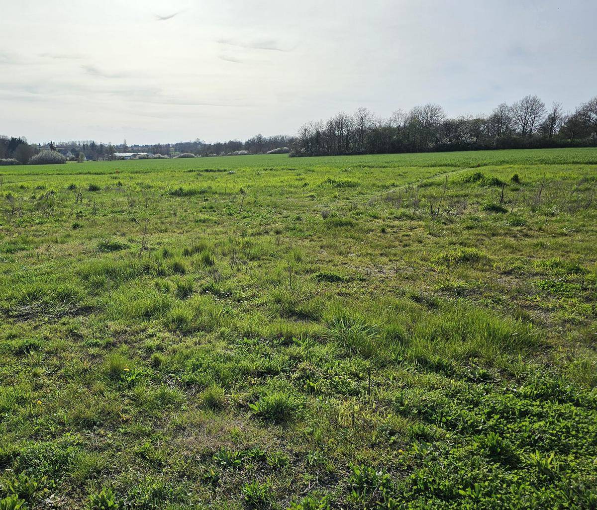 Terrain seul à Tauxigny-Saint-Bauld en Indre-et-Loire (37) de 519 m² à vendre au prix de 49000€