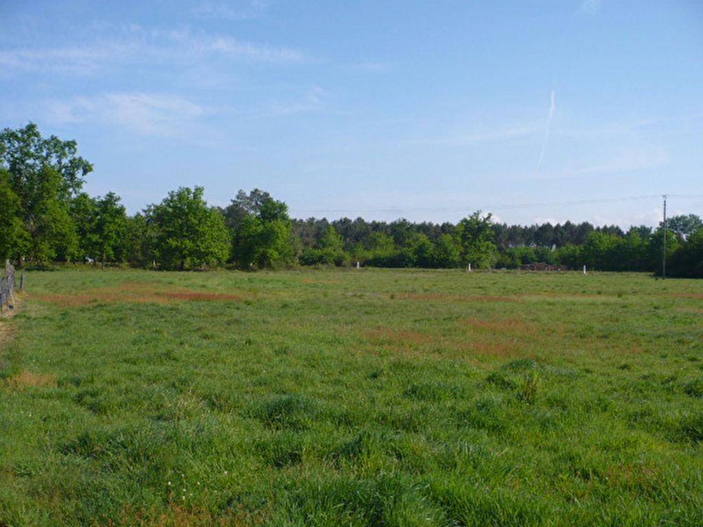 Terrain seul à Saint-Pierre-des-Corps en Indre-et-Loire (37) de 400 m² à vendre au prix de 90000€