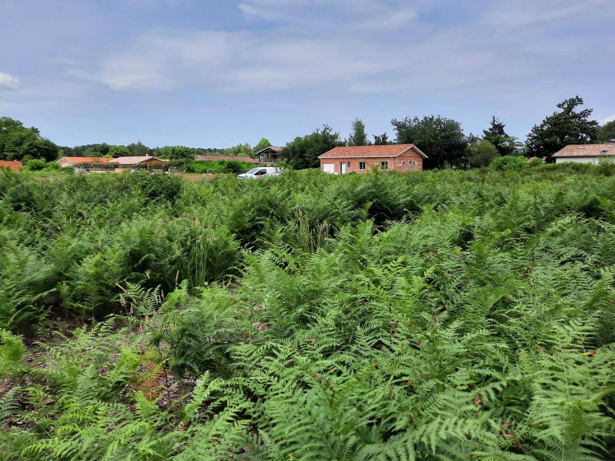 Terrain seul à Martignas-sur-Jalle en Gironde (33) de 540 m² à vendre au prix de 288500€