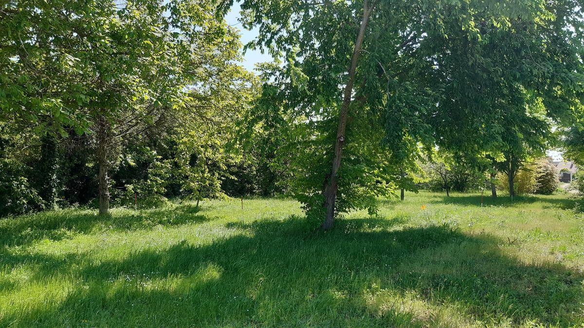 Terrain seul à Neuville-aux-Bois en Loiret (45) de 600 m² à vendre au prix de 62000€
